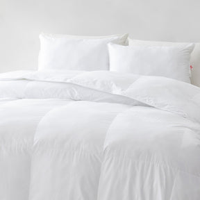 All Season PrimaLoft® ThermoPlume Down Alternative Comforter with Duvet Tabs by Dream Naturally