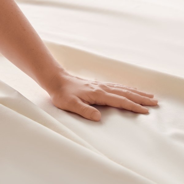 Weekender 200 TC Cotton Sheet Set - CREAM